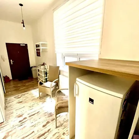 Park Lovely Apartman With Private Parking